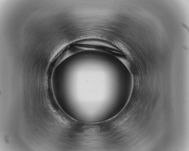 X0000096210676200801251035