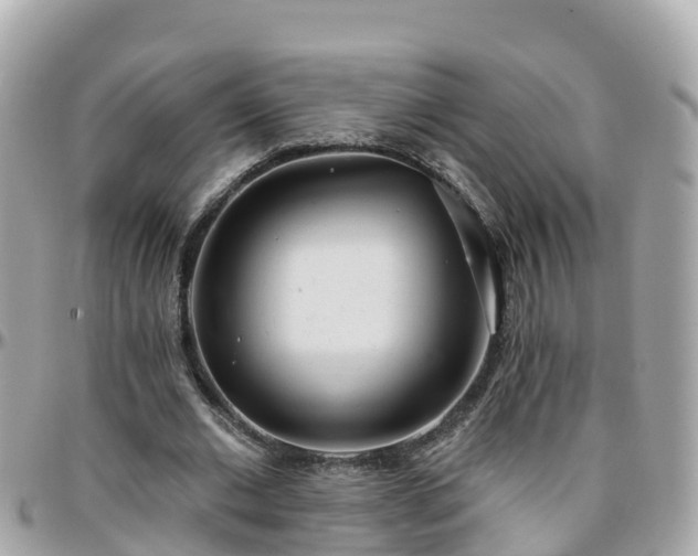 X0000096210677200801251035