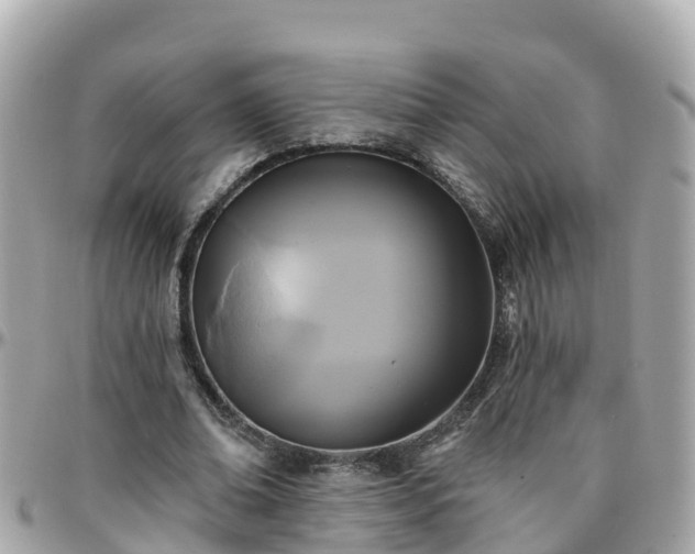 X0000096210678200801251035