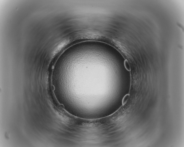 X0000096210679200801251035