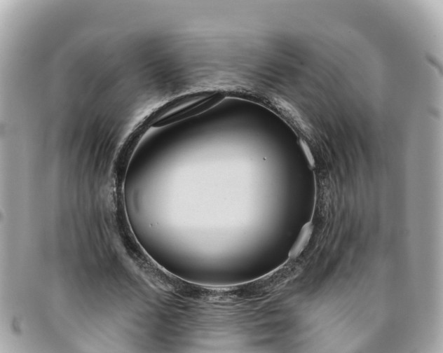 X0000096210680200801251035