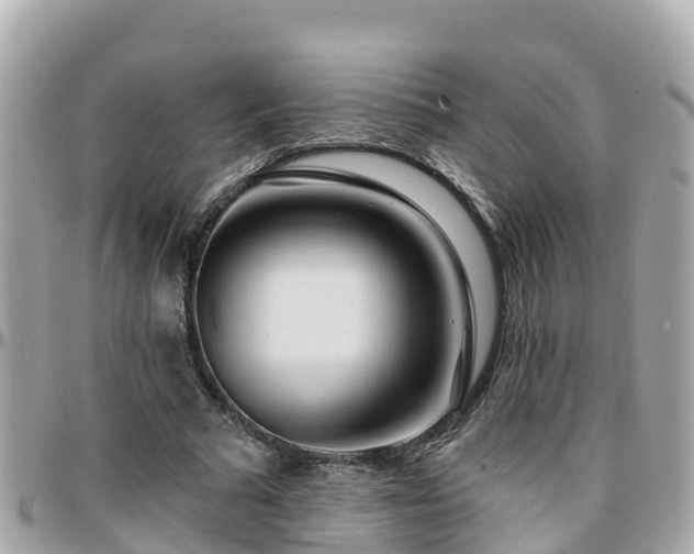 X0000096210681200801251035