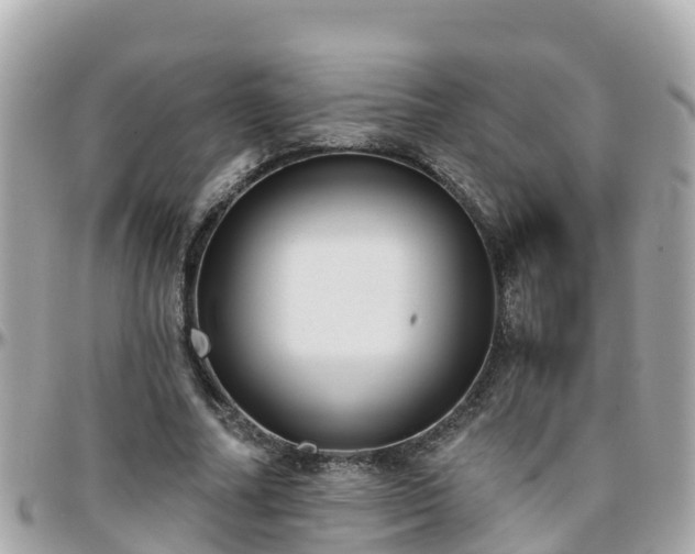 X0000096210682200801251035