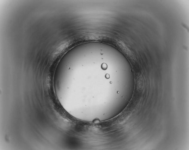 X0000096210683200801251035