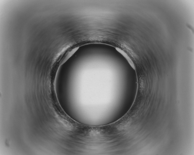 X0000096210684200801251035