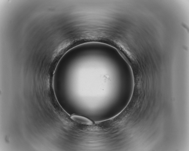 X0000096210685200801251035