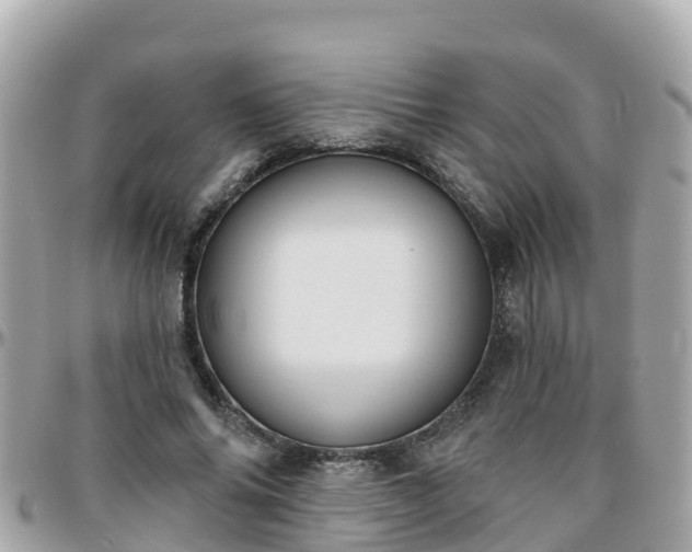 X0000096210686200801251035