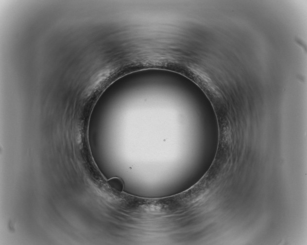 X0000096210687200801251035