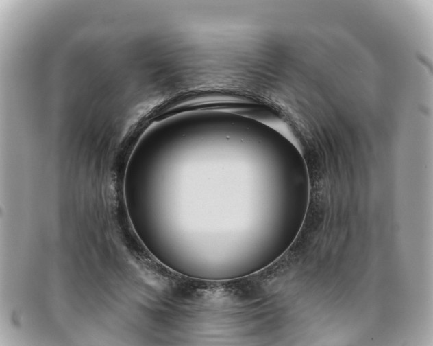 X0000096210688200801251035