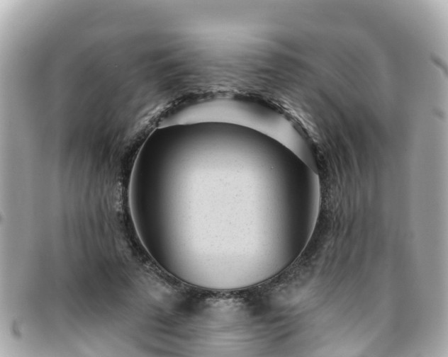 X0000096210689200801251035