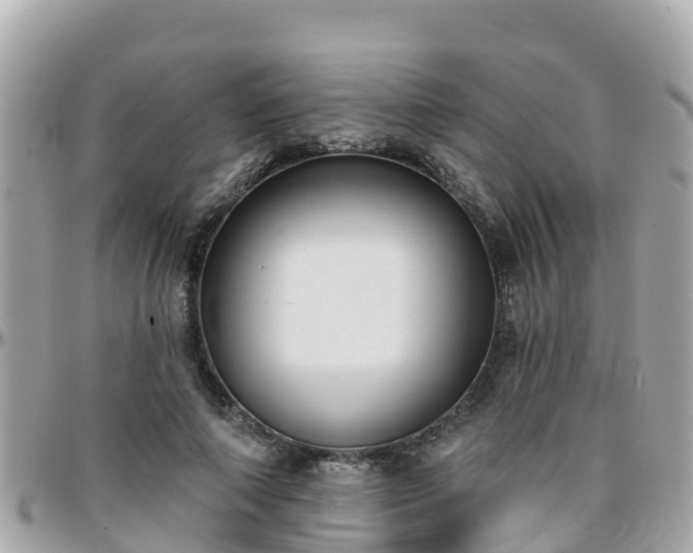 X0000096210690200801251035