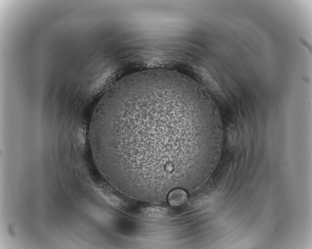 X0000096210691200801251035