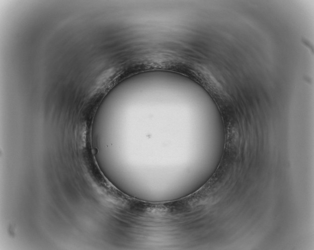 X0000096210694200801251035