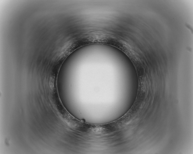 X0000096210695200801251035