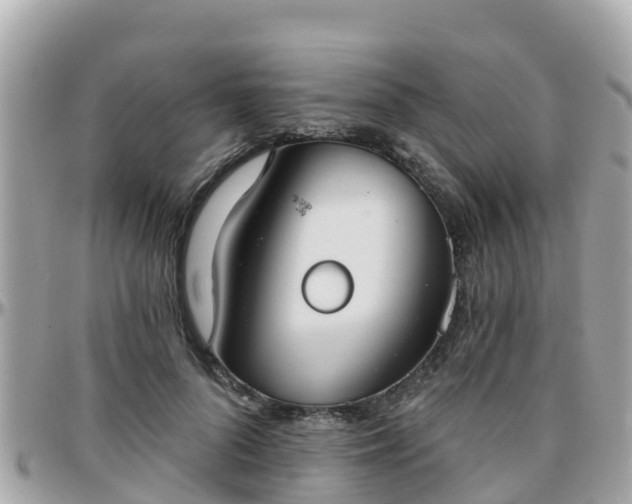 X0000096210696200801251035