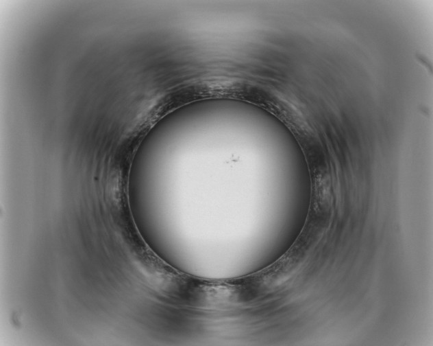 X0000096210698200801251035