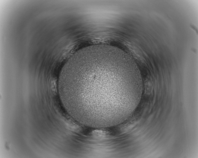 X0000096210699200801251035