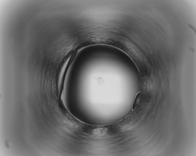 X0000096210700200801251035