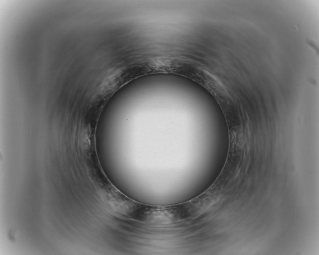 X0000096210702200801251035