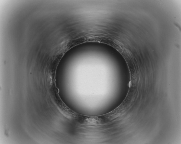 X0000096210703200801251035