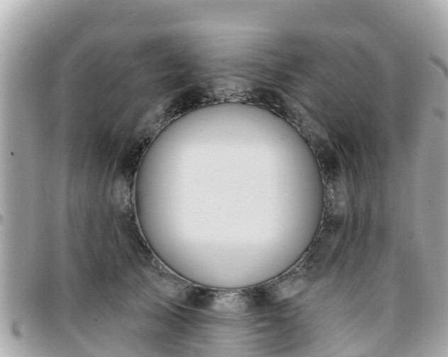 X0000096210705200801251034