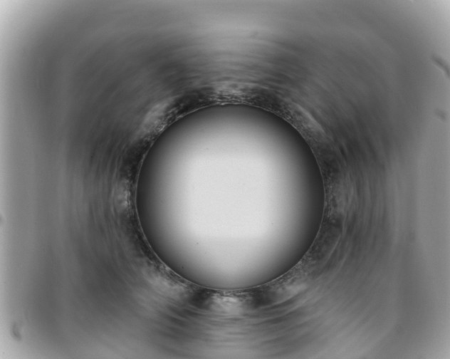 X0000096210706200801251034