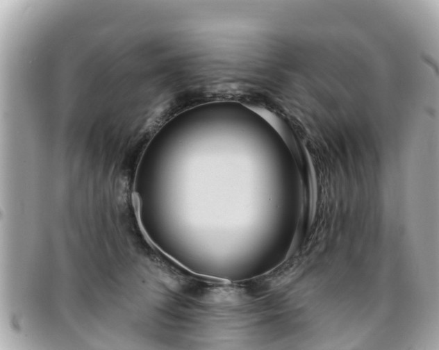 X0000096210708200801251034