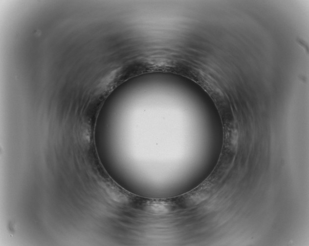 X0000096210710200801251034