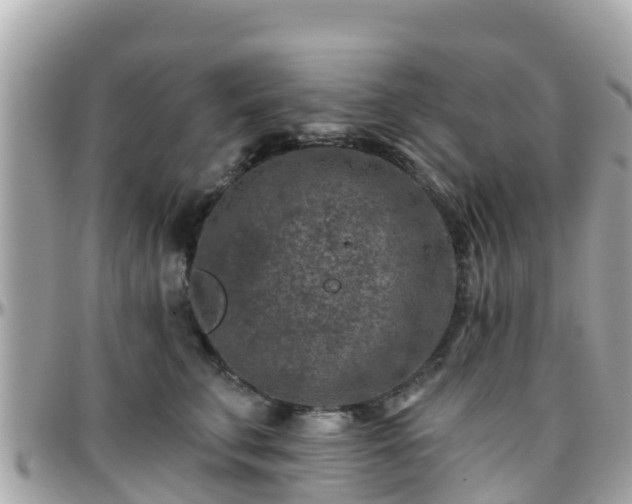 X0000096210711200801251034