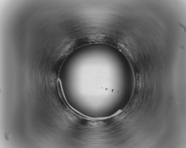 X0000096210712200801251034