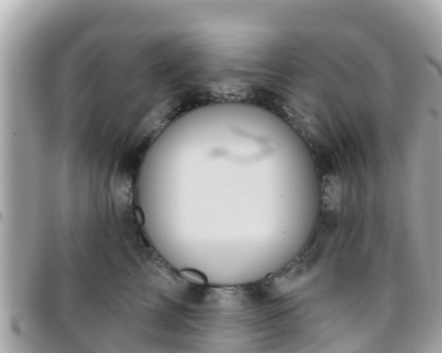 X0000096210713200801251034