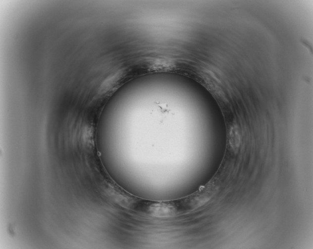 X0000096210714200801251034