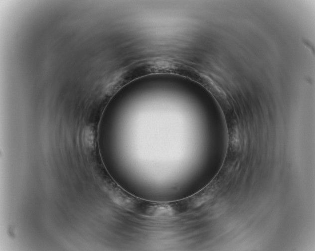 X0000096210715200801251034