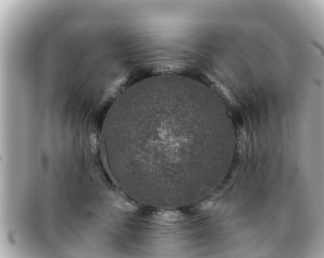 X0000096210716200801251034