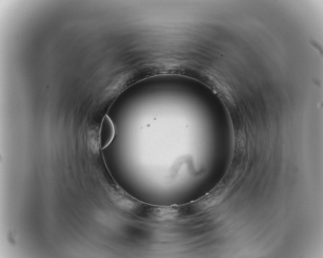 X0000096210719200801251034