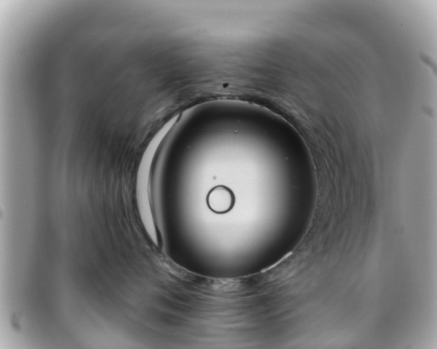 X0000096210720200801251034