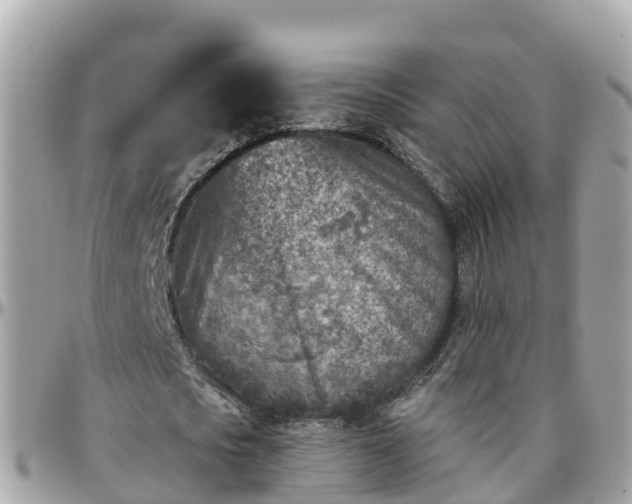 X0000096210721200801251034