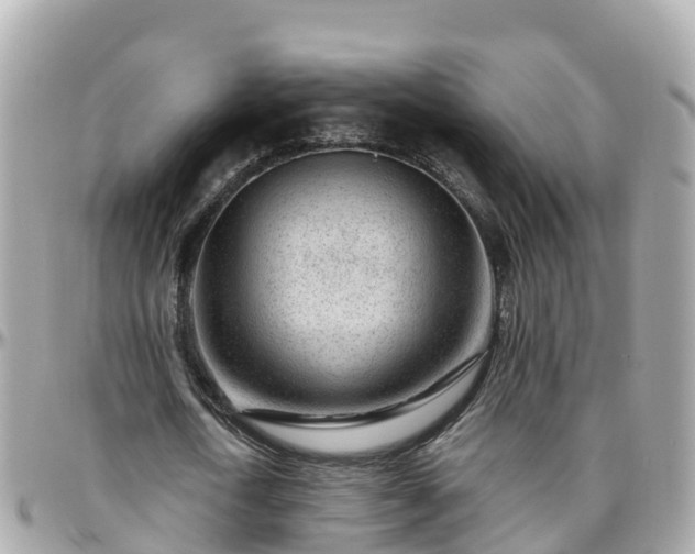 X0000096210722200801251034