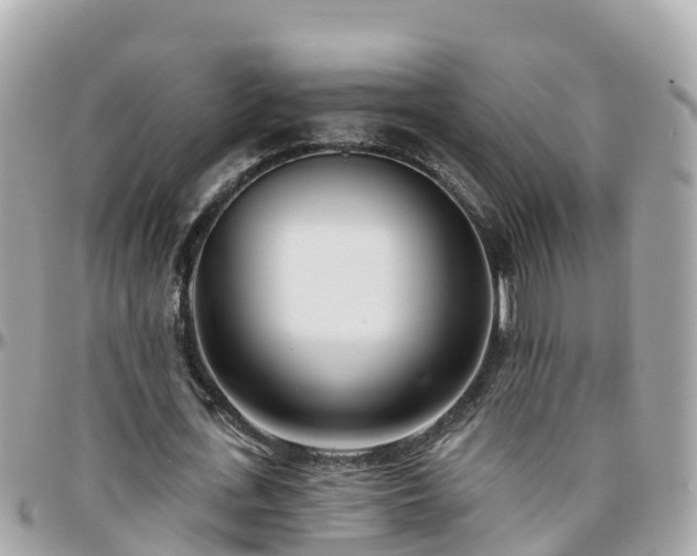 X0000096210723200801251034