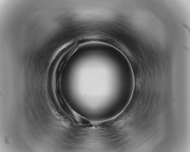 X0000096210724200801251034