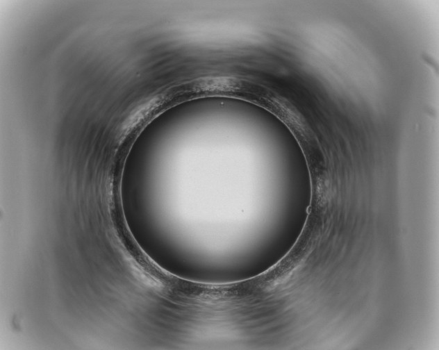 X0000096210725200801251034