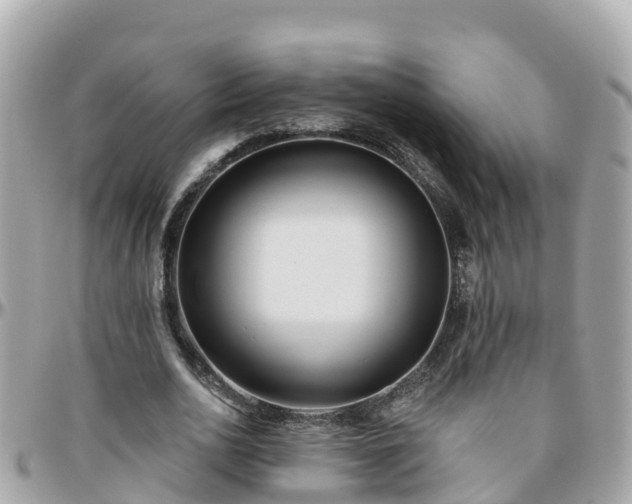 X0000096210726200801251034