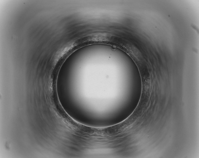 X0000096210727200801251034