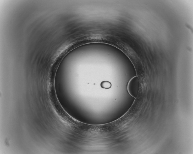 X0000096210728200801251034