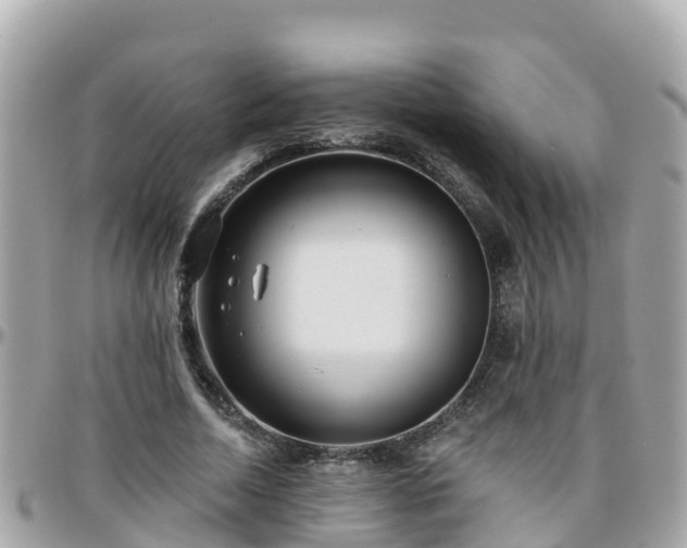 X0000096210730200801251034