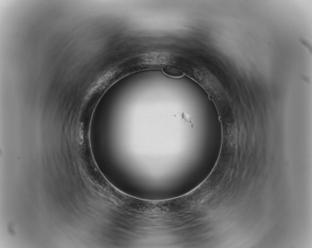 X0000096210731200801251034