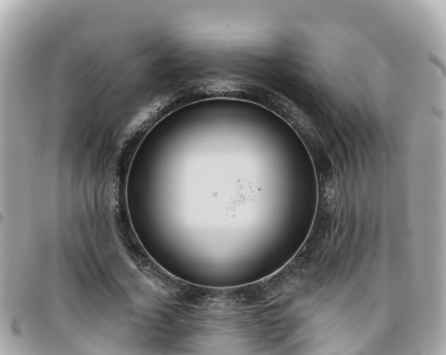 X0000096210732200801251034