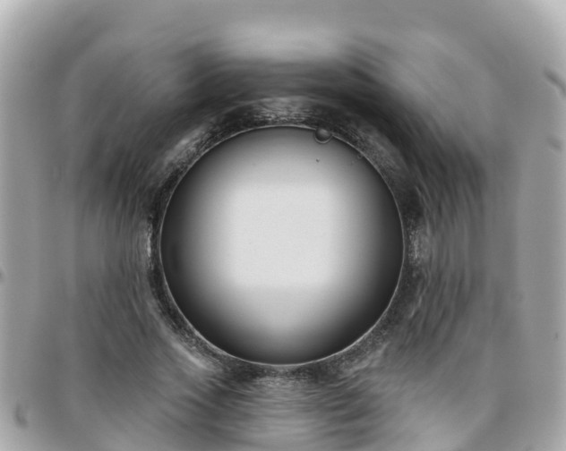 X0000096210733200801251034