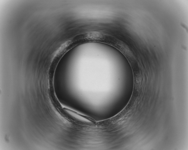 X0000096210734200801251034