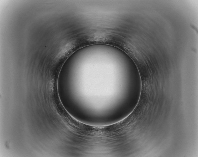 X0000096210735200801251034